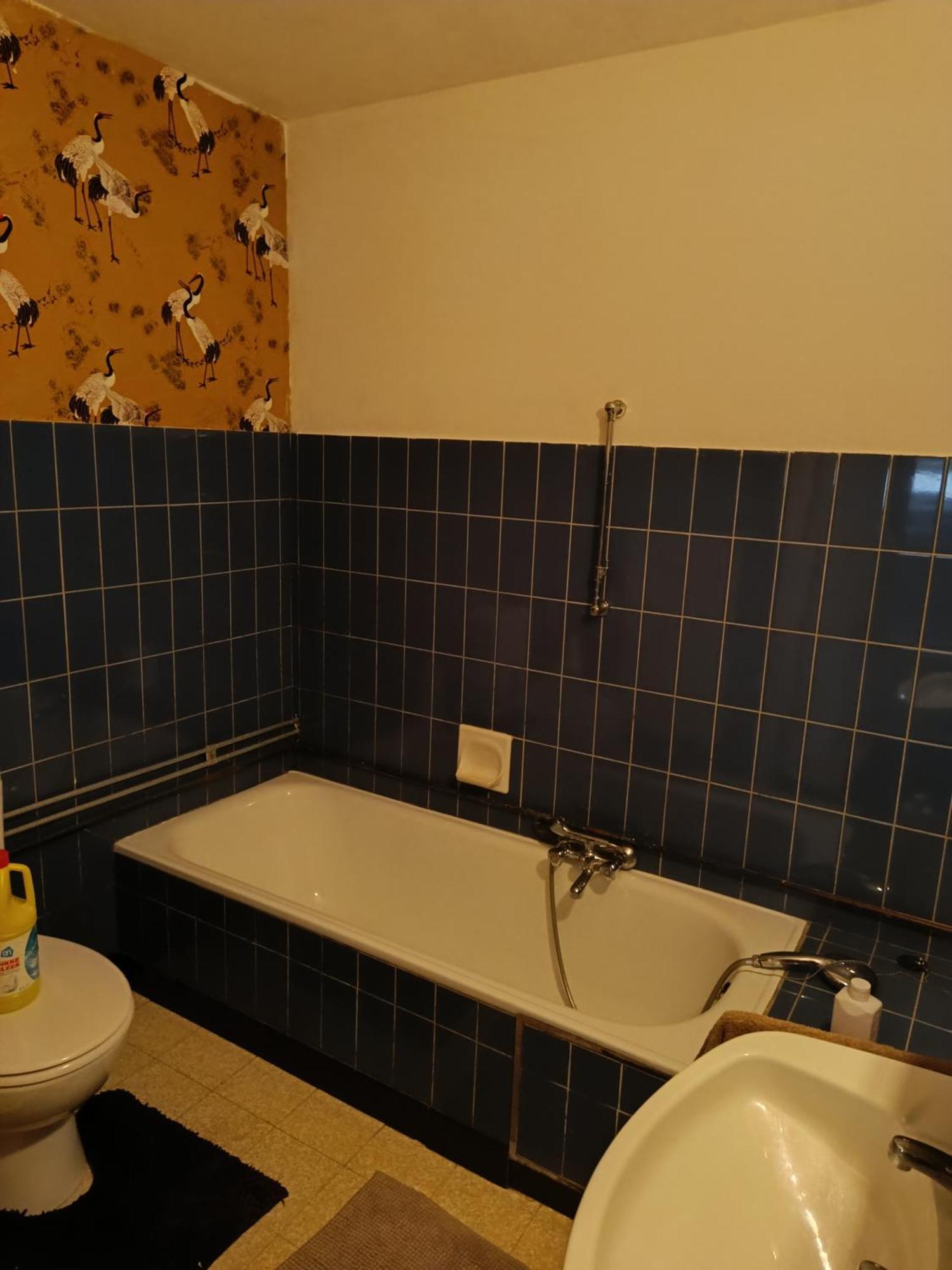 Saisir Le Jour Appartement Gent Buitenkant foto